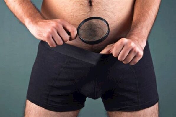 muškarac s povećalom pregledava svoj penis i želi ga podebljati